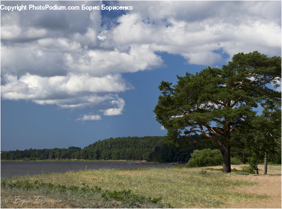 Cloud, Cumulus, Sky, Landscape, Nature, Scenery, Field