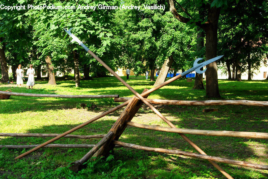 Seesaw, Backyard, Yard