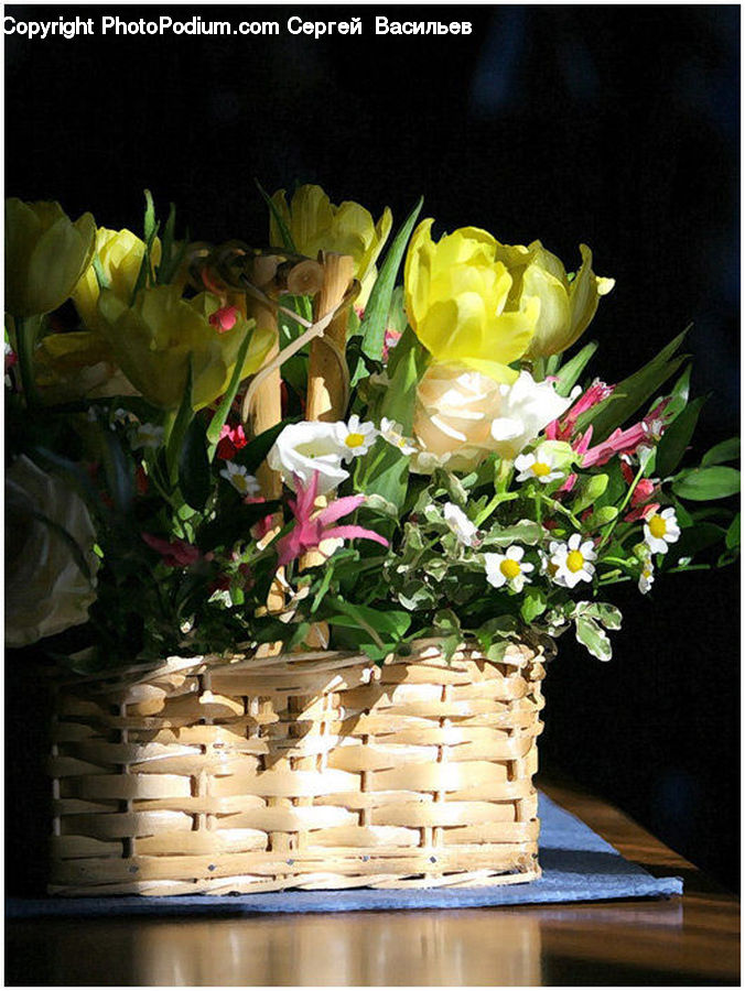 Plant, Potted Plant, Floral Design, Flower, Flower Arrangement, Flower Bouquet, Ikebana
