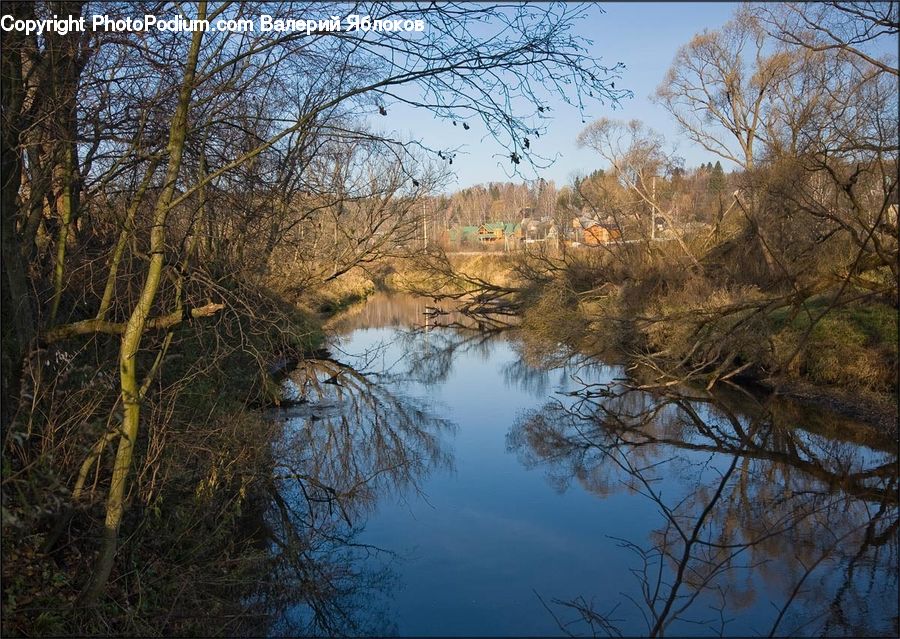 Land, Marsh, Outdoors, Swamp, Water, River, Creek