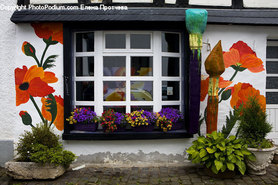 Plant, Potted Plant, Building, Cottage, Housing, Pot, Pottery