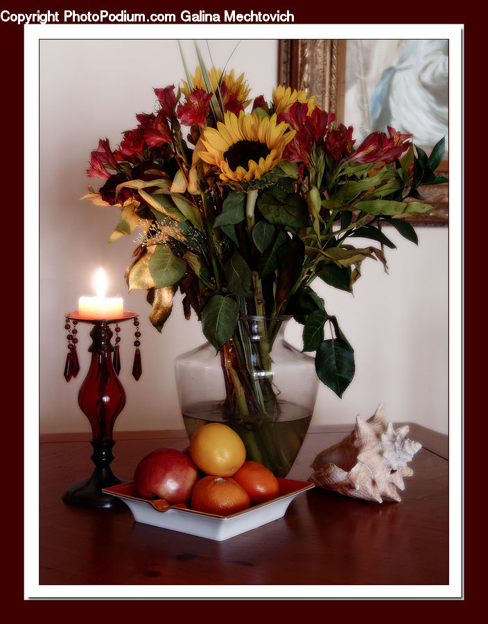 Glass, Goblet, Plant, Potted Plant, Apple, Fruit, Floral Design