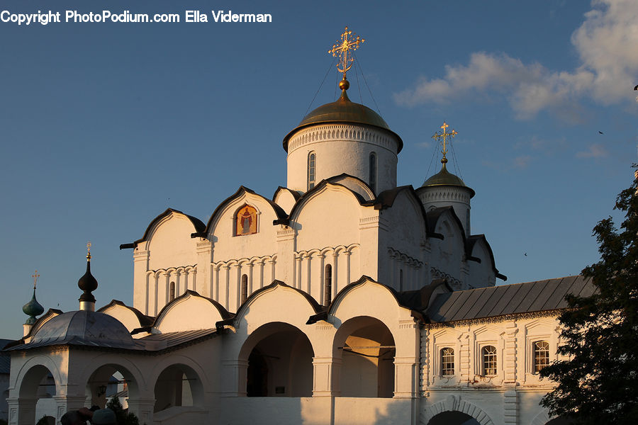 Plant, Potted Plant, Architecture, Dome, Mosque, Worship, Church