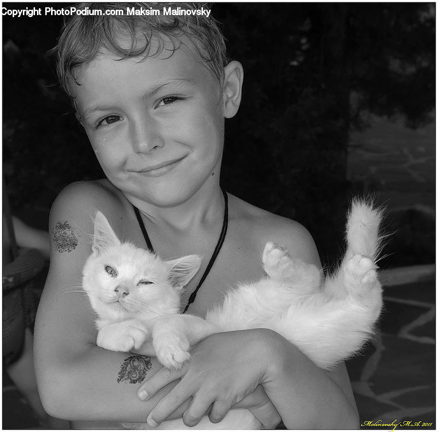 People, Person, Human, Animal, Adorable, Angora, Cat
