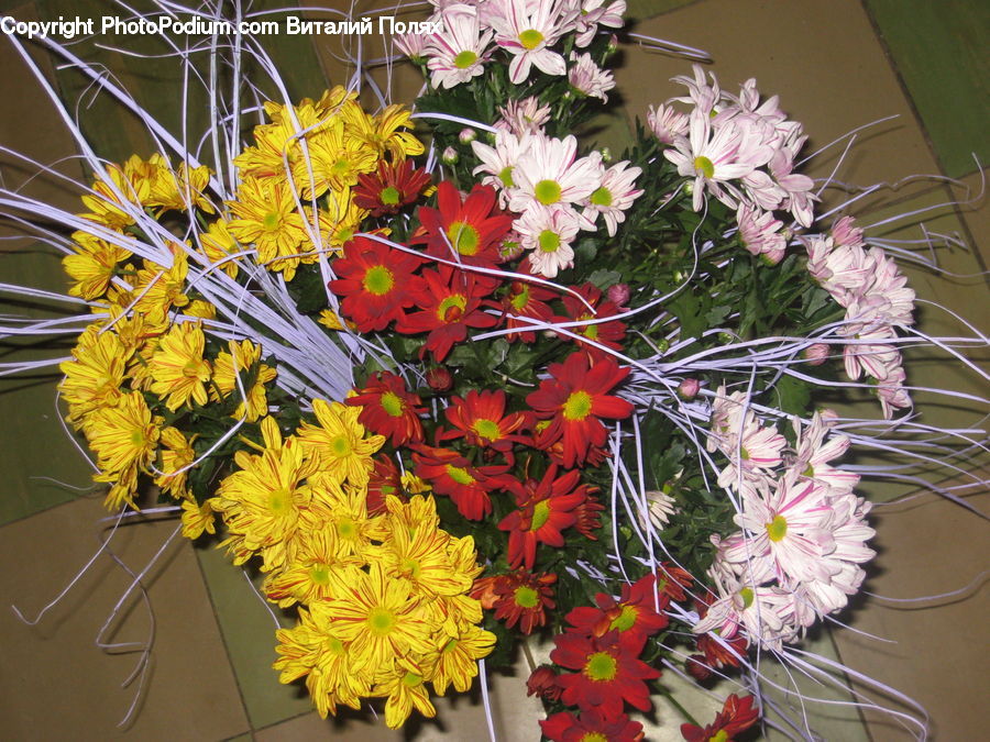 Plant, Potted Plant, Floral Design, Flower, Flower Arrangement, Flower Bouquet, Ikebana