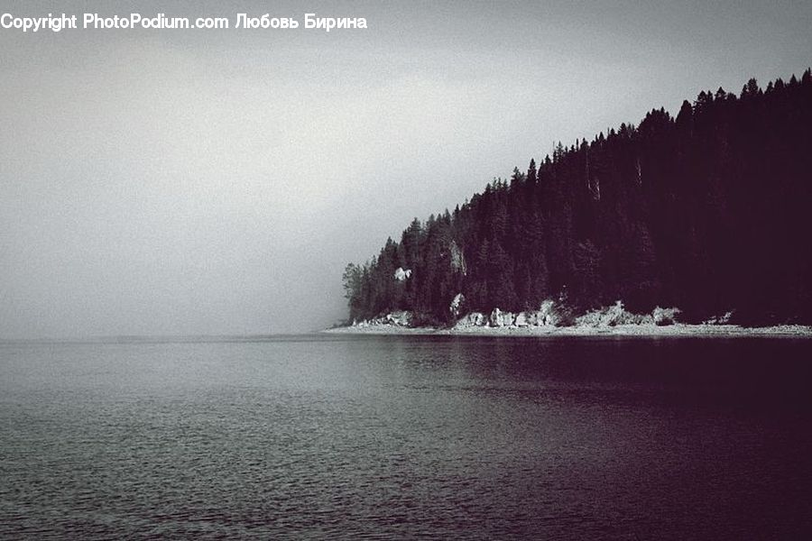 Water, Coast, Outdoors, Sea, Ocean, Forest, Vegetation