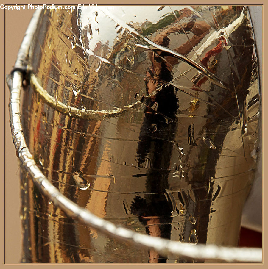 Art, Modern Art, Globe, Planet, Sphere, Flower Arrangement, Ikebana