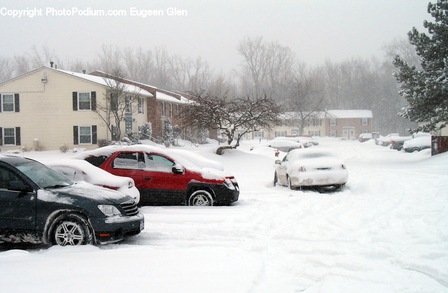 Blizzard, Outdoors, Snow, Weather, Winter, Ice, Car