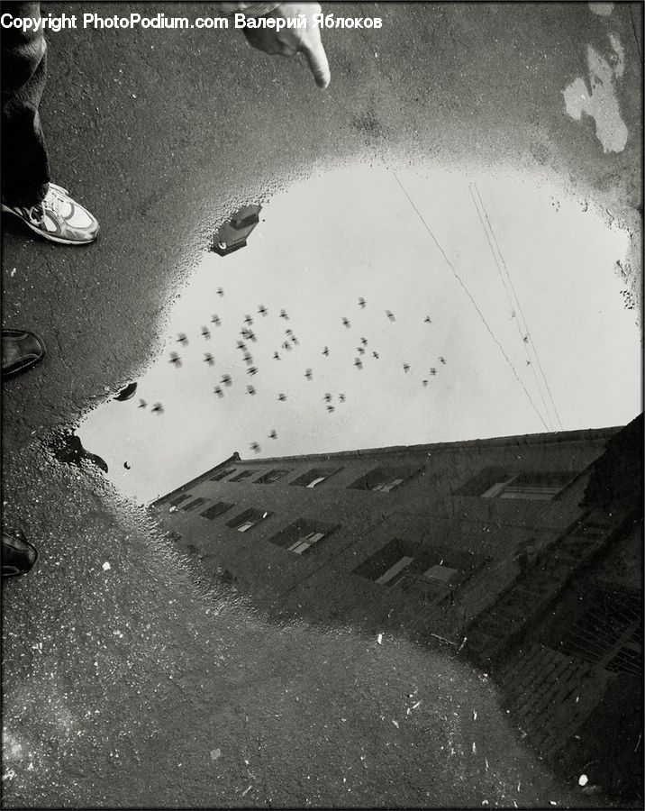 Footwear, Shoe, Asphalt, Tarmac, Finger