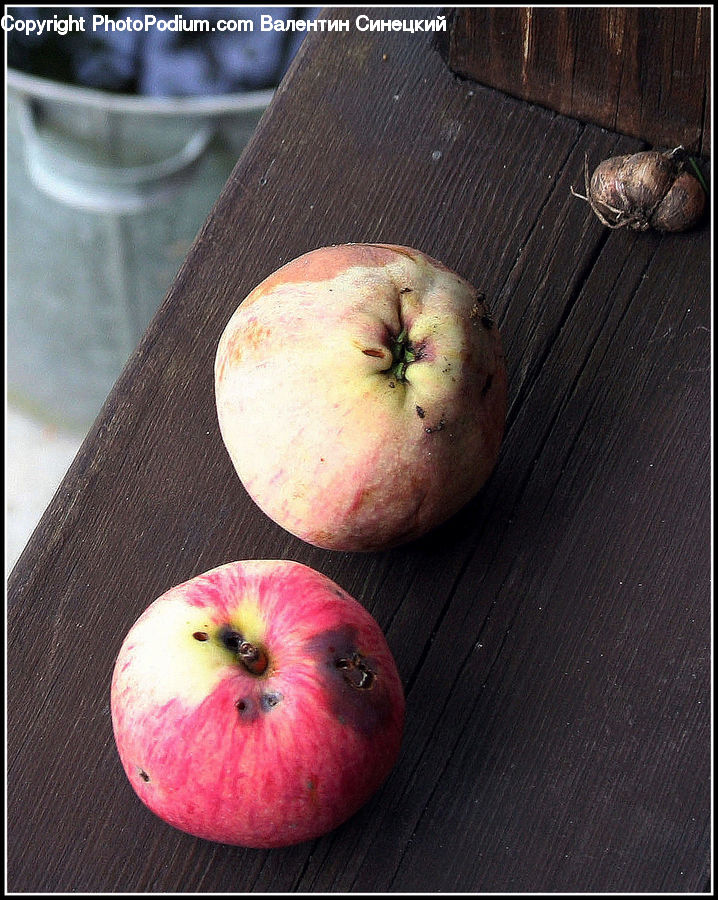 Apple, Fruit, Invertebrate, Snail, Cockroach, Insect