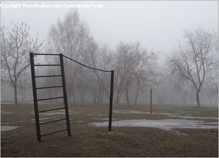 Fog, Plant, Tree, Cabin, Hut, Rural, Shack