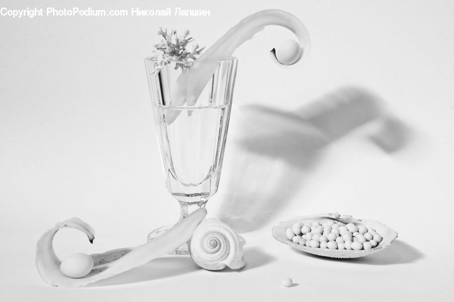 Jar, Porcelain, Vase, Glass, Flower, Flower Arrangement, Flower Bouquet