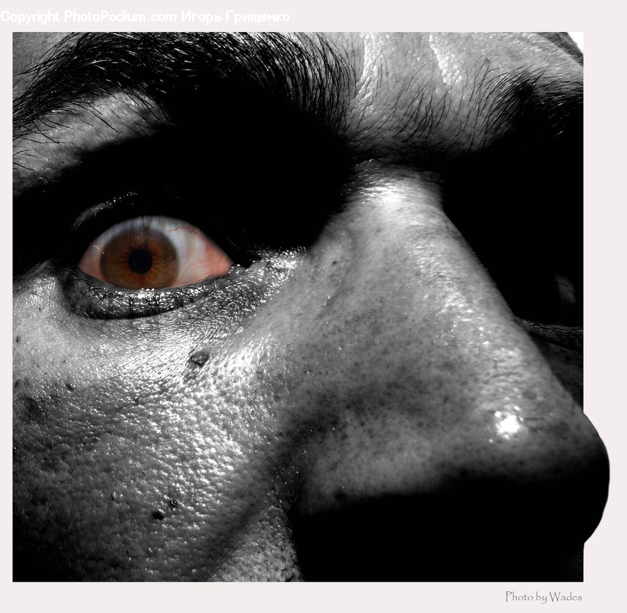 Head, Portrait, Face, Selfie, Person
