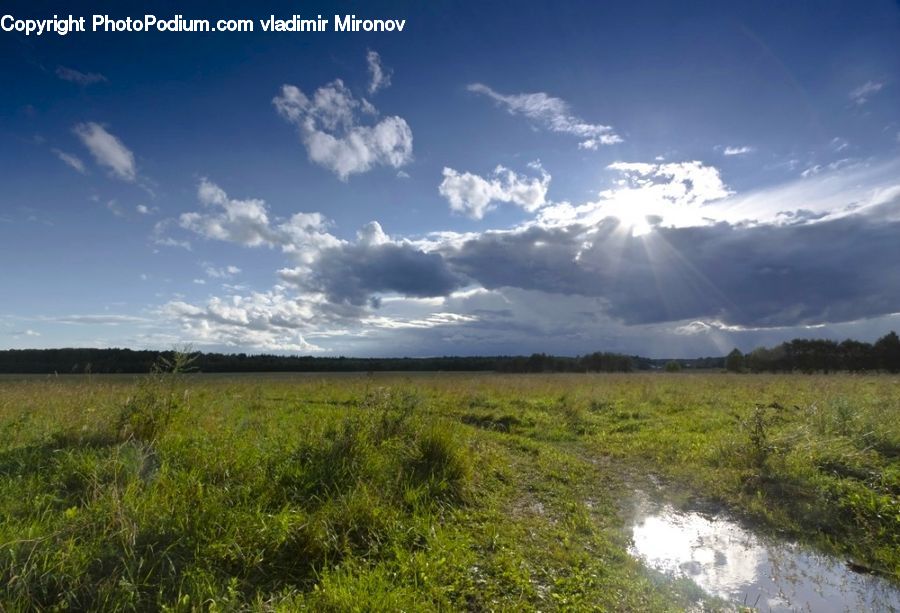 Field, Grass, Grassland, Land, Outdoors, Cloud, Cumulus
