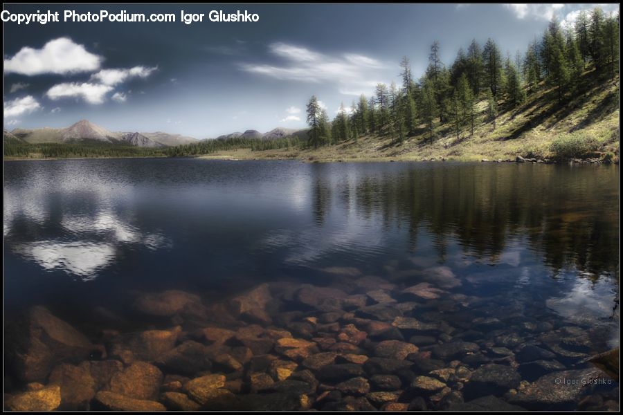Lake, Outdoors, Water, Conifer, Fir, Plant, Tree