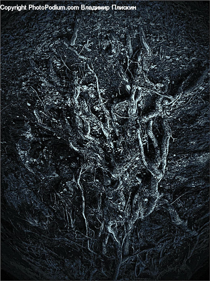 Art, Modern Art, Fractal