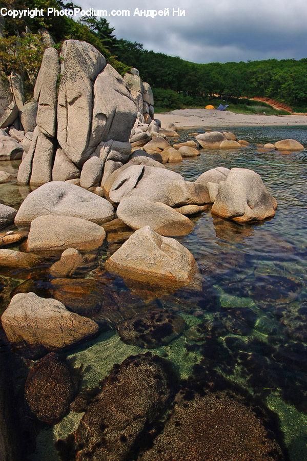 Rock, Cobblestone, Pavement, Walkway, Forest, Jungle, Rainforest