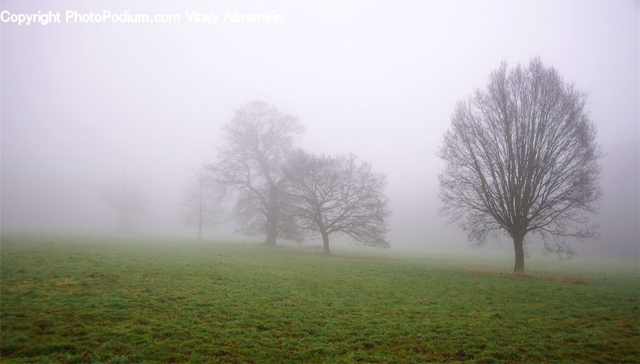 Fog, Mist, Outdoors
