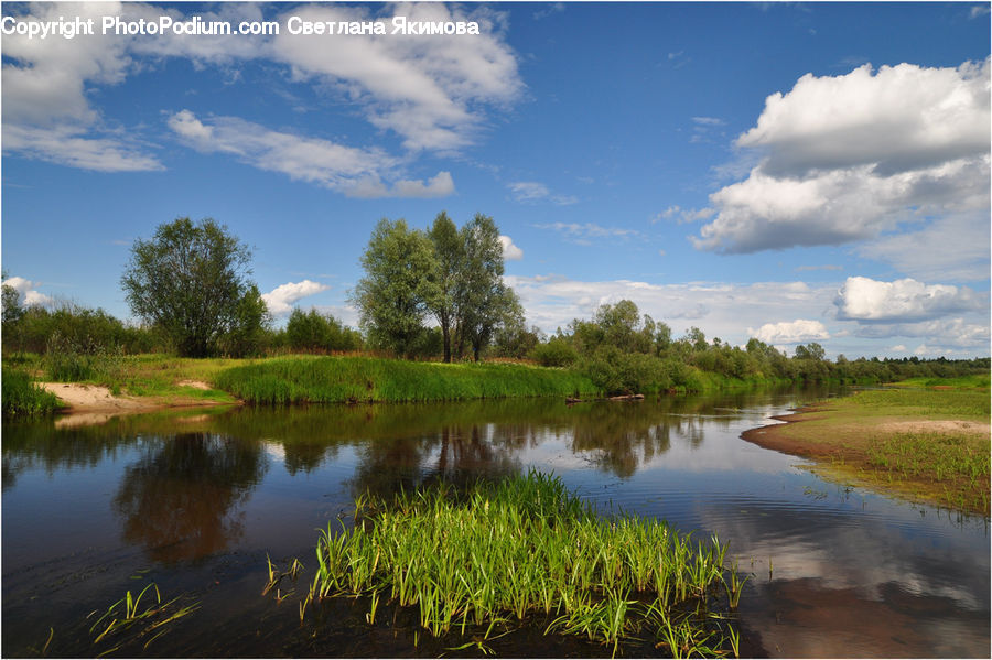 Land, Marsh, Outdoors, Swamp, Water, Pond, Cloud