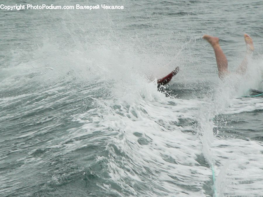 Sport, Surfboard, Surfing, Outdoors, Sea, Sea Waves, Water