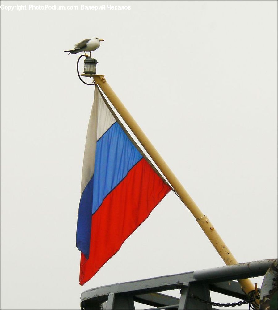Emblem, Flag, Triangle