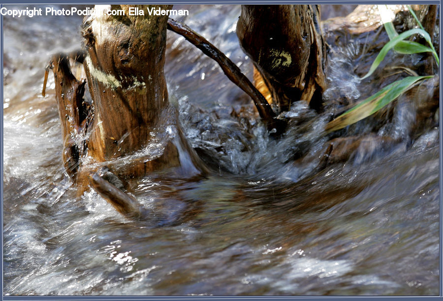 Creek, Outdoors, River, Water, Eating