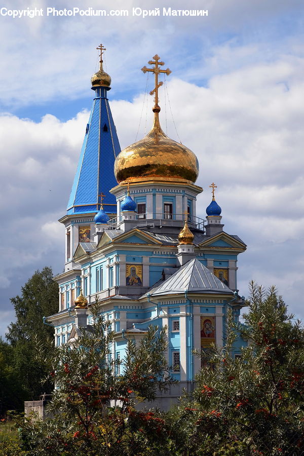 Plant, Potted Plant, Architecture, Bell Tower, Clock Tower, Tower, Dome