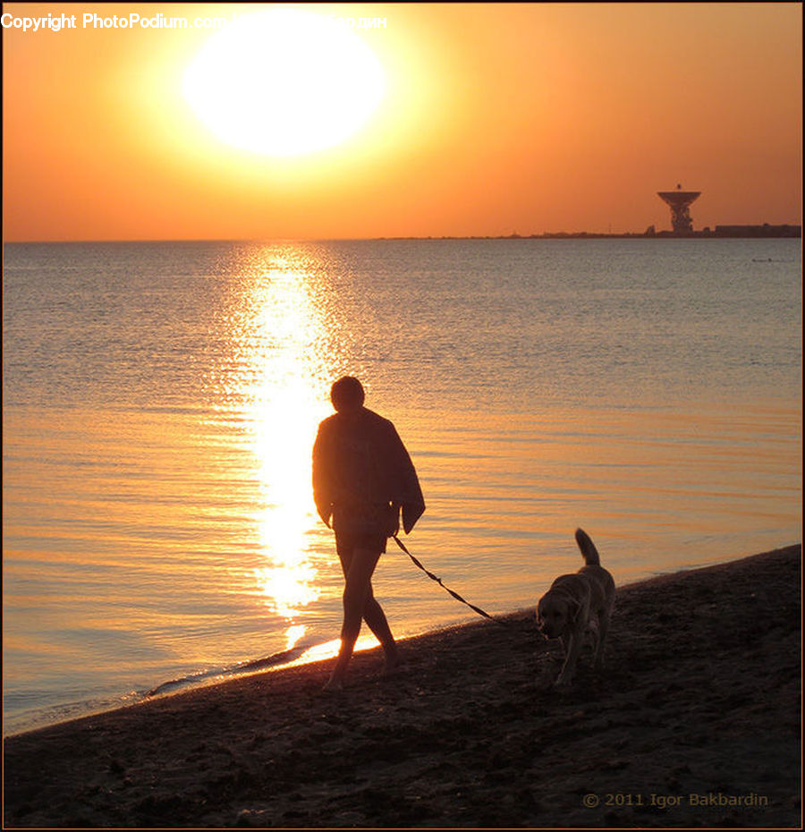 People, Person, Human, Silhouette, Exercise, Fitness, Jogging
