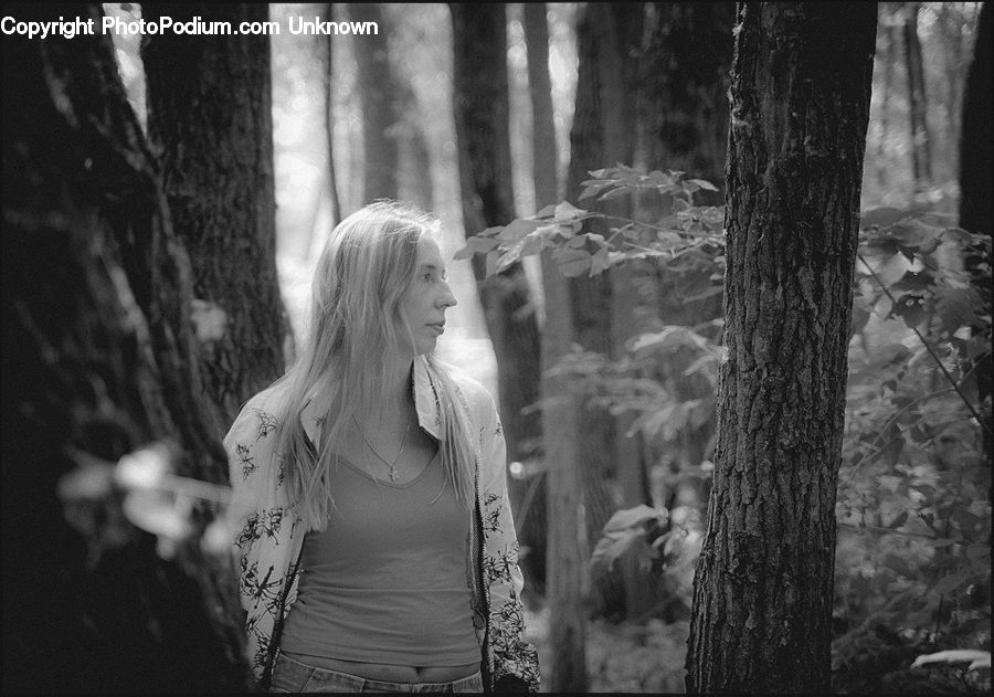 People, Person, Human, Blonde, Female, Woman, Plant