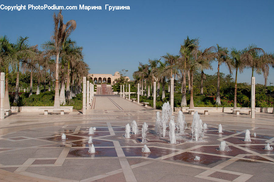 Architecture, Downtown, Plaza, Town Square, Building, Housing, Palm Tree