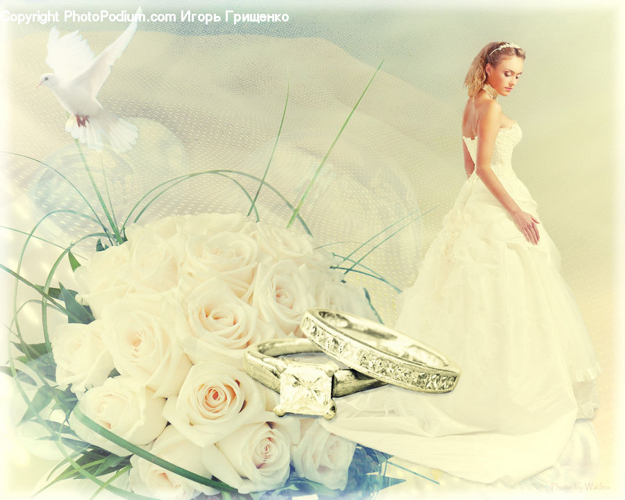 People, Person, Human, Evening Dress, Gown, Clothing, Dress