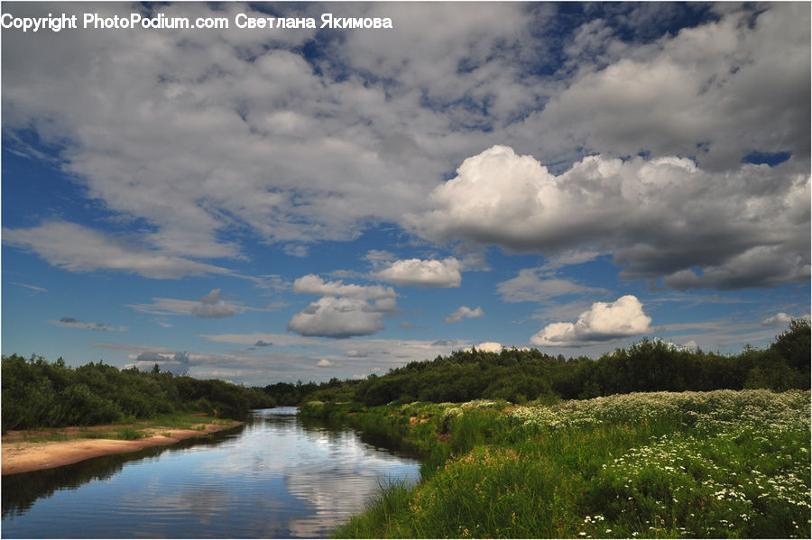 Cloud, Cumulus, Sky, Plant, Tree, Azure Sky, Outdoors