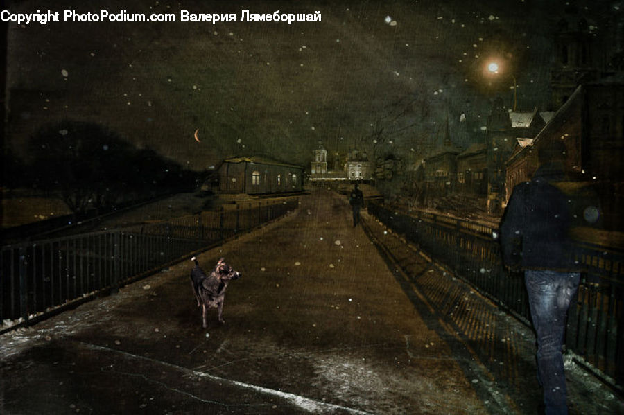 Train, Vehicle, Animal, Canine, Dog, Mammal, Pet