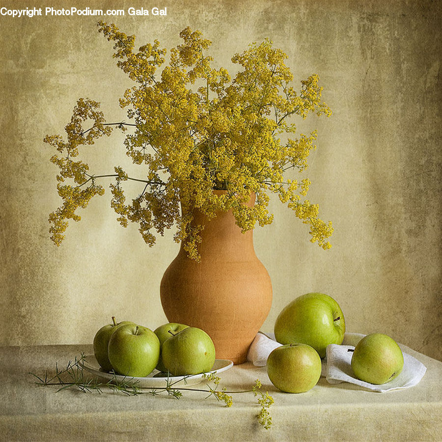 Fruit, Pear, Citrus Fruit, Pomelo, Apple, Grapefruit, Grapes