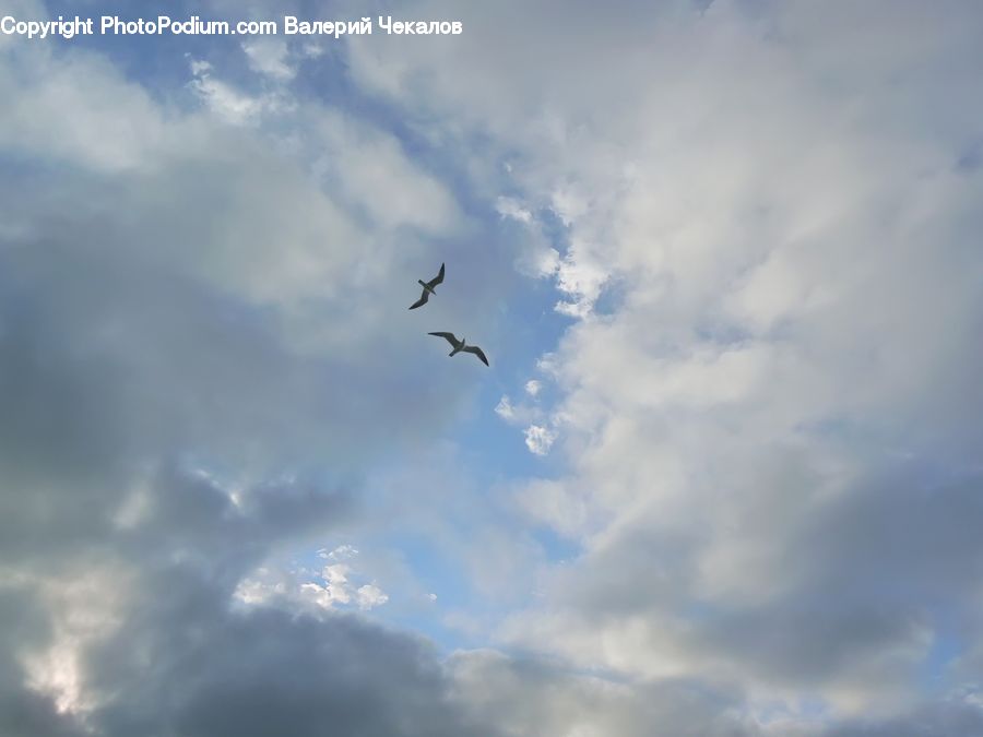 Azure Sky, Cloud, Outdoors, Sky