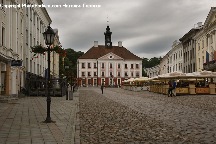 Plant, Potted Plant, Architecture, Downtown, Plaza, Town Square, Rail