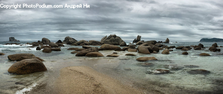 Rock, Coast, Outdoors, Sea, Water, Beach, Bird