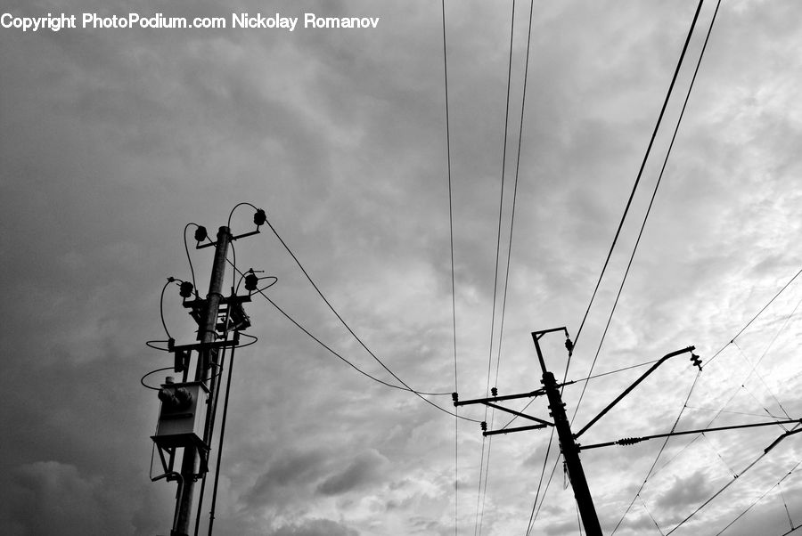 Pole