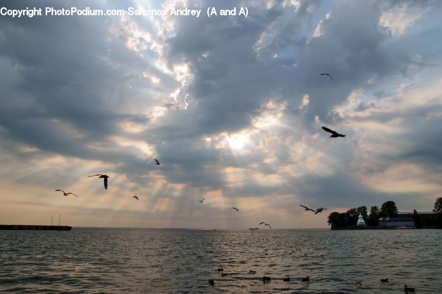 Azure Sky, Cloud, Outdoors, Sky, Sea, Water, Beach
