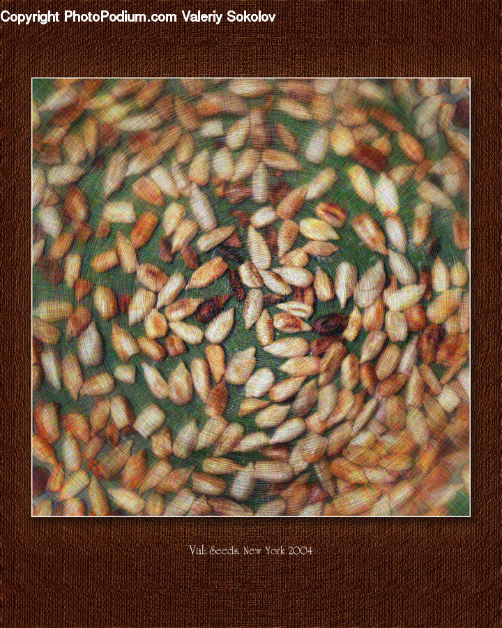 Bean, Produce, Vegetable, Art, Modern Art