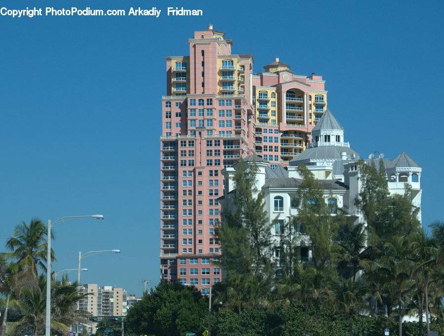 Building, Housing, Apartment Building, High Rise, Palm Tree, Plant, Tree
