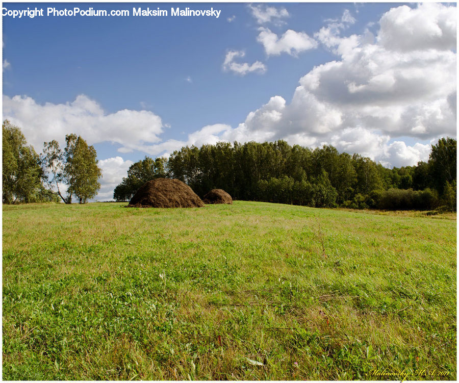 Field, Grass, Grassland, Land, Outdoors, Countryside, Meadow