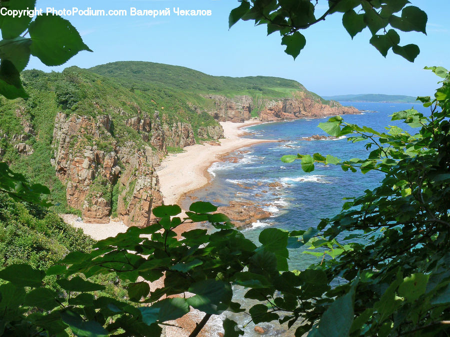 Outdoors, River, Water, Bush, Plant, Vegetation, Nature