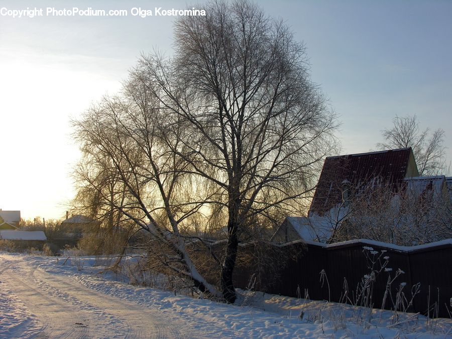 Building, Cottage, Housing, Ice, Outdoors, Snow, Landscape