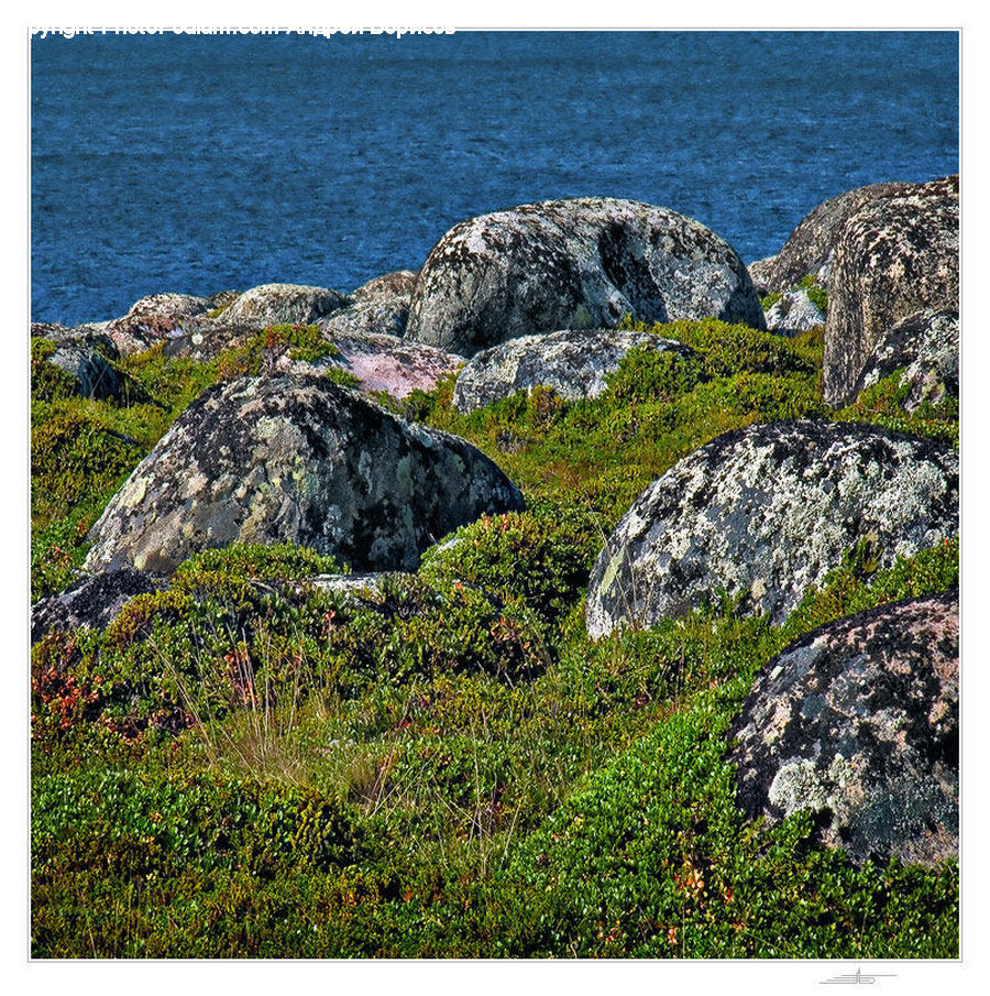 Rock, Promontory, Cliff, Outdoors, Coast, Sea, Water