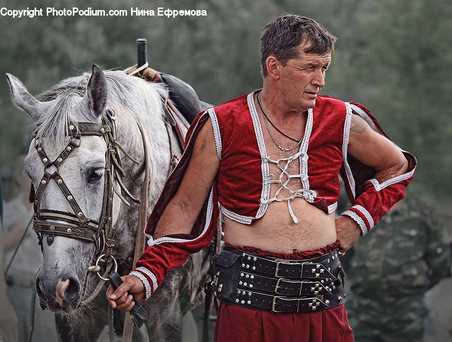 People, Person, Human, Animal, Horse, Mammal, Leisure Activities