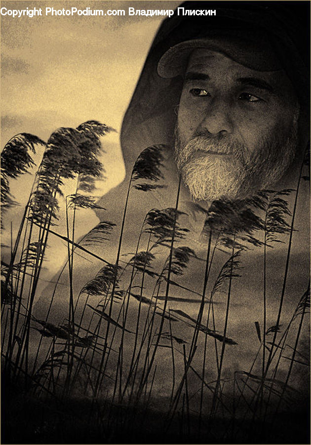 Field, Grass, Grassland, Plant, Face, Selfie, Person