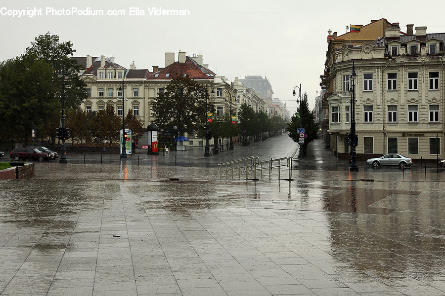 Flood, Plant, Potted Plant, Tree, Architecture, Downtown, Plaza