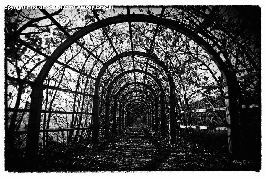 Arch, Silhouette, Patio, Pergola, Porch, Arbour, Crypt