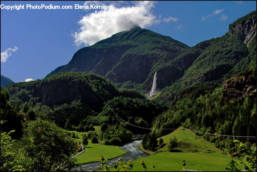 Plant, Potted Plant, Crest, Mountain, Mountain Range, Outdoors, Peak